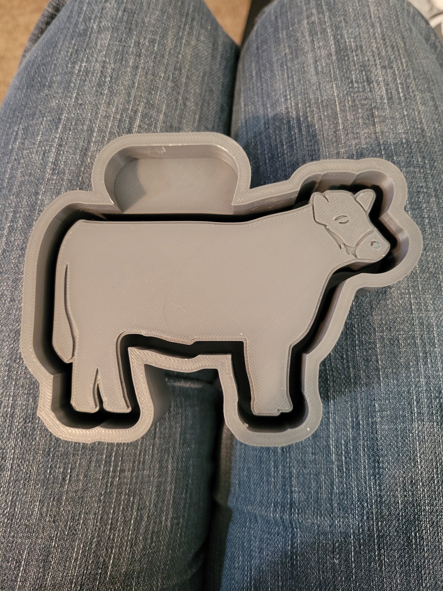 Show Steer