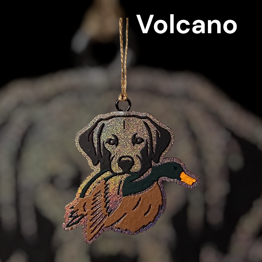 Bird Dog