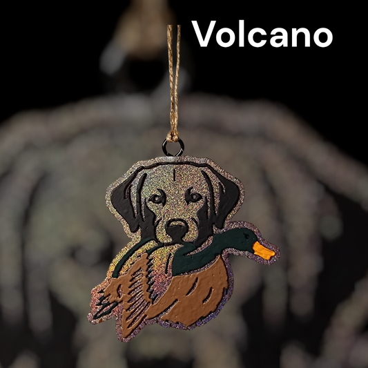 Bird Dog