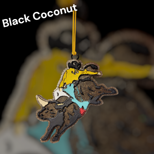 Bull Rider