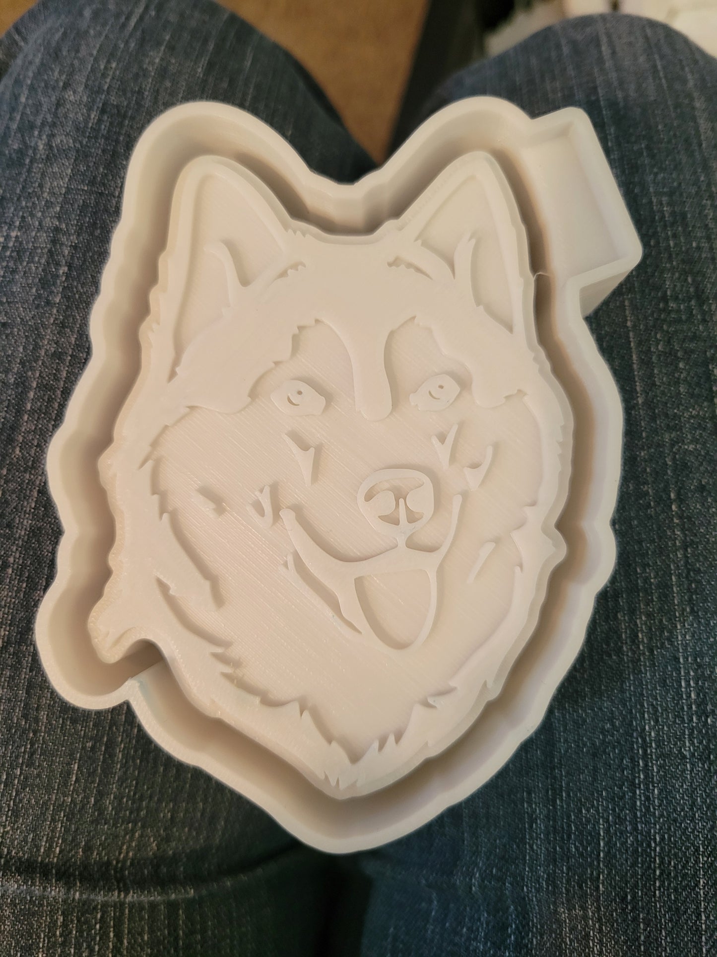 Husky Dog
