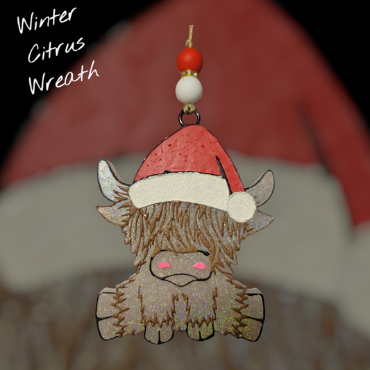 Santa Hyland